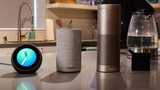 Alexa Crapped Out on Christmas